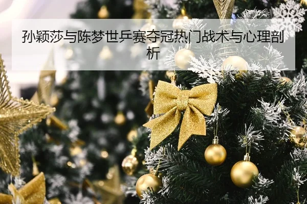 孙颖莎与陈梦世乒赛夺冠热门战术与心理剖析 - lanboesports